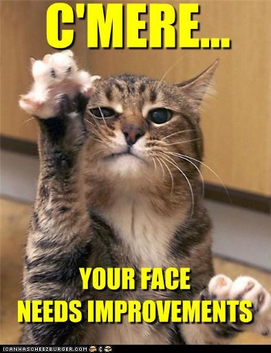 Mogs and mugs.