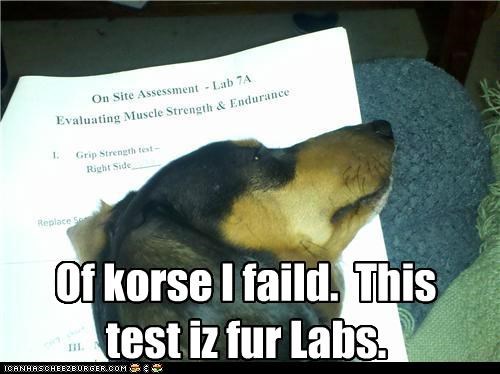 Of korse 