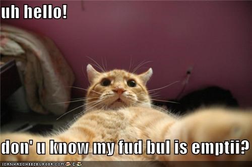 uh hello!  don' u know my fud bul is emptii?
