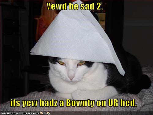 Yewd be sad 2,  ifs yew hadz a Bownty on UR hed.