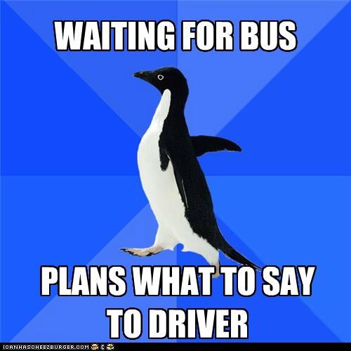 Socially Awkward Penguin: Forgets When the Bus Arrives  