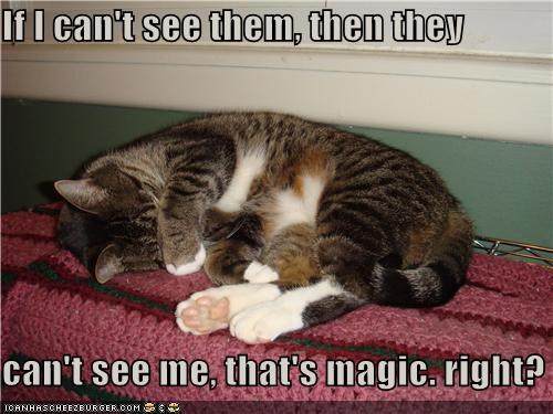 If I can't see them, then they  can't see me, that's magic. right?