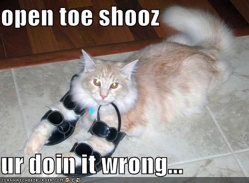 Those Aren't Even the Right Size, Cat!