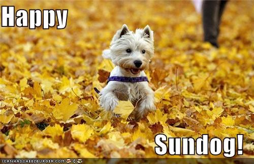 Happy  Sundog!