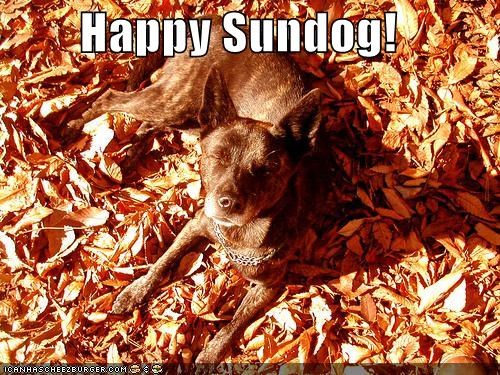 Happy Sundog!