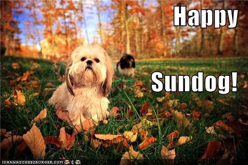 Happy Sundog!