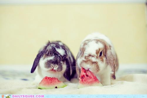Happy Bunday!