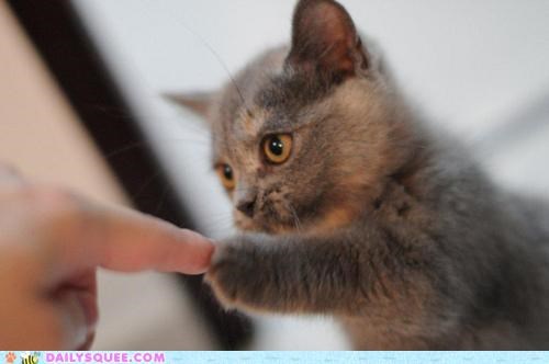 CUTEST. FIST BUMP. EVER.