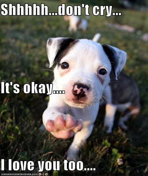 Shhhhh...don't cry... It's okay.... I love you too....