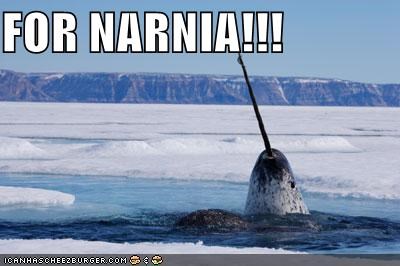 NARWHALNIA!