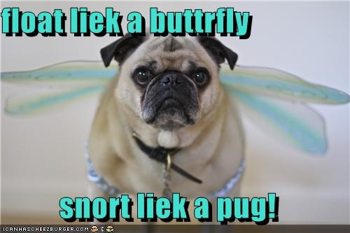 float liek