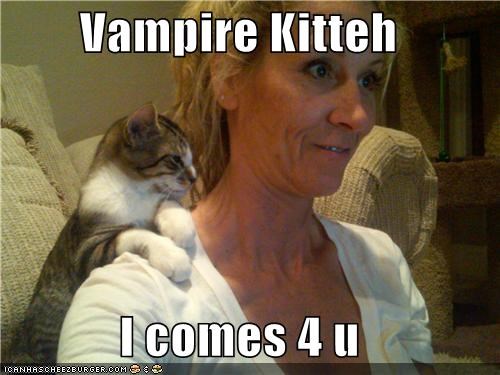 Vampire Kitteh  I comes 4 u