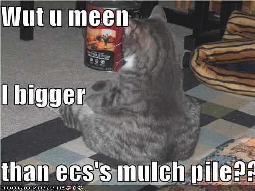 Wut u meen I bigger than ecs's mulch pile????