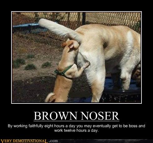 BROWN NOSER