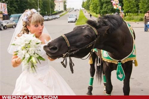 The Horse's Mouth