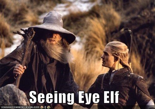Seeing Eye Elf