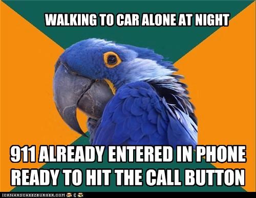 Paranoid Parrot: Just in Time to Hear My Screams