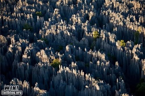 Mother Nature FTW: Madagascar's Stone Forest
