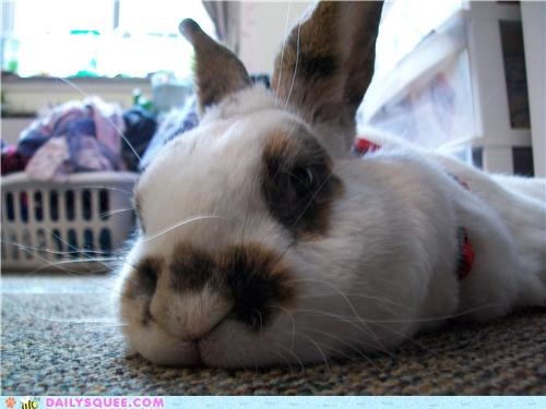 I'm ready for my close up!