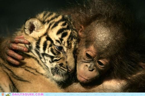 Interspecies Love: Welcome to the Jung-AWWWWWWWW