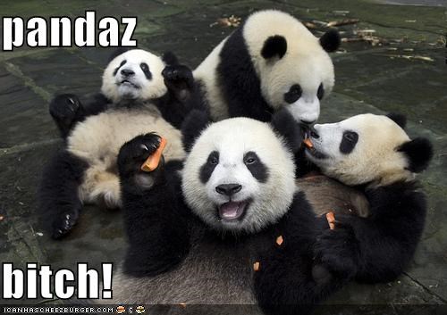 Represent!