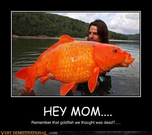HEY MOM....