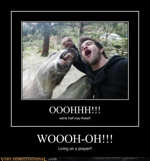 WOOOH-OH!!!