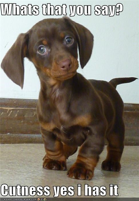 Whats that you say?