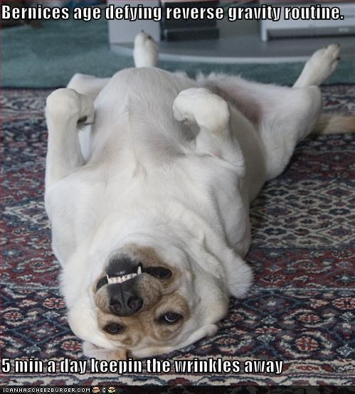 Bernice's age defying reverse gravity routine.  5 min a day keepin the wrinkles away