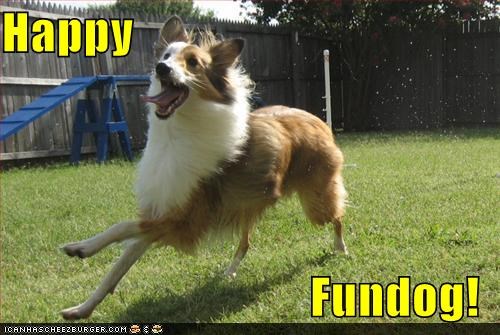 Happy  Fundog!