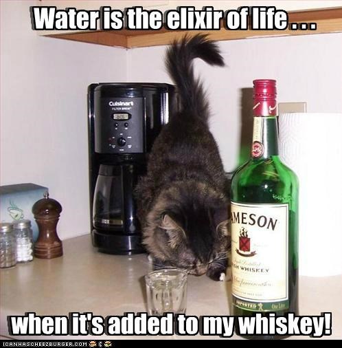 *ELIXIR DIS!*