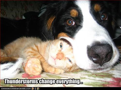 Thunderstorms