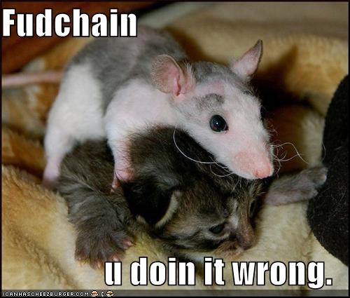 Fudchain  u doin it wrong.