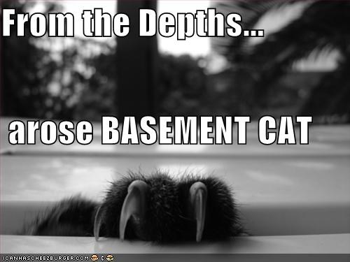 From the Depths...  arose BASEMENT CAT