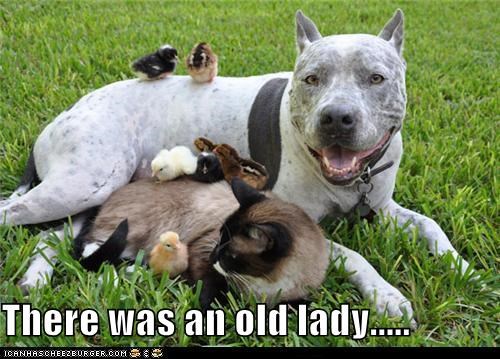 There was an old lady.....