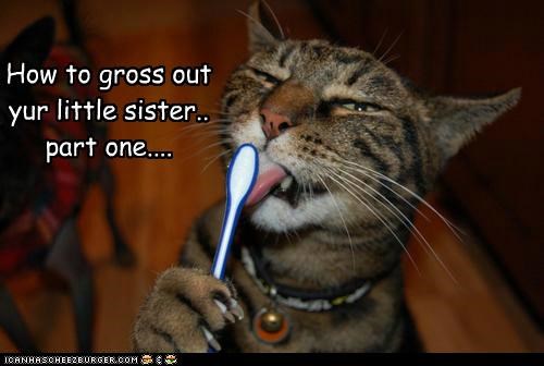 How to gross