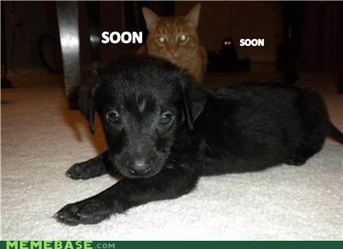 It's 2 Soon!!