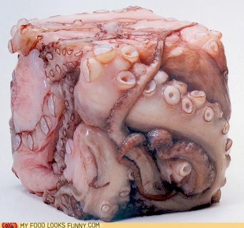 Cubipus