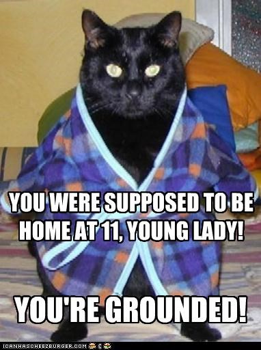Daddy cat is very upset...
