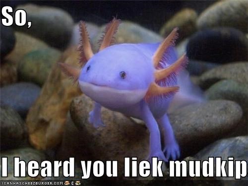 So,  I heard you liek mudkipz?