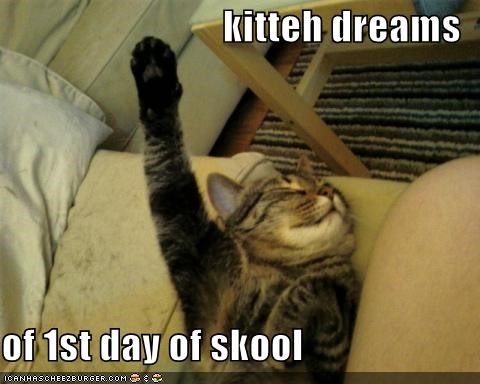 kitteh dreams  of 1st day of skool