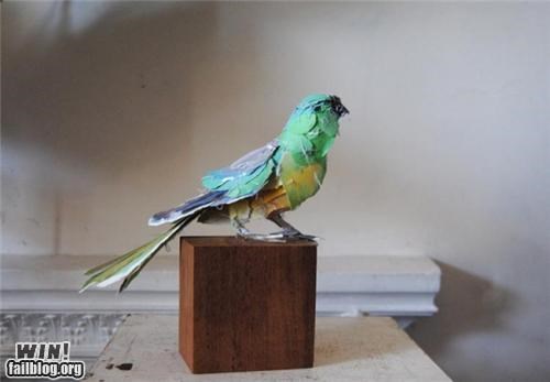 Paper Animal Sculptures WIN