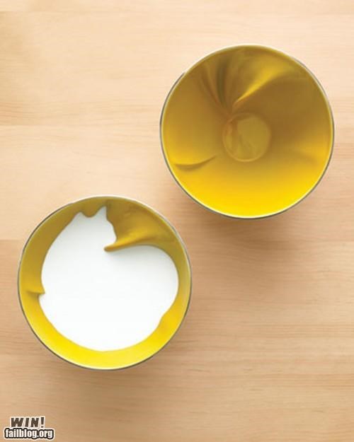 Bowl Design WIN