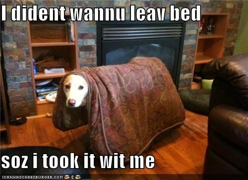 I dident wannu leav bed  soz i took it wit me