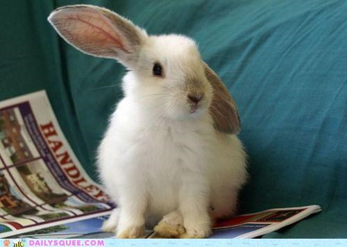 Did I Just Hear the Dinner Bell?