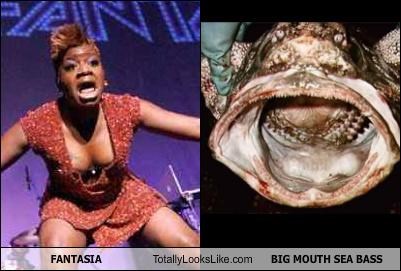 Fantasia Totally Looks Like A Big Mouth Sea Bass