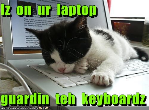 Iz  on  ur  laptop  guardin  teh  keyboardz