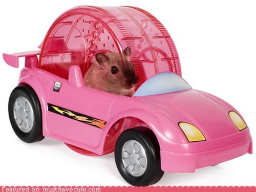 Hamster Racer Set