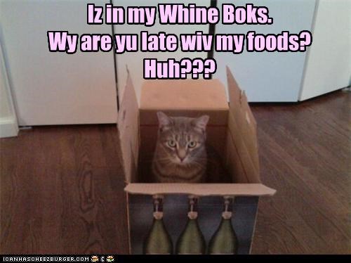 Iz in my Whine Boks.   Wy are yu late wiv my foods? Huh???