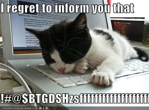 I regret to inform you that  !#@$BTGDSHzsfffffffffffffffffff